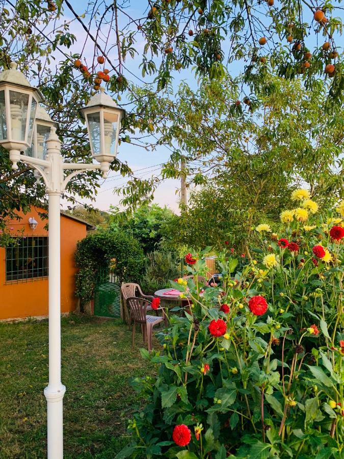 Vivienda Vacacional El Majo Pola de Siero Экстерьер фото